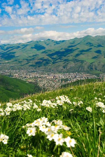 City Vanadzor Lori Province Armenia — Stock Photo, Image