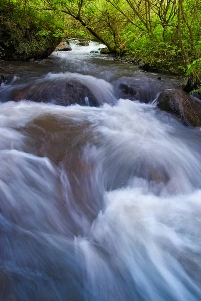 Pequeno Rio Rápido Floresta Montanha — Fotografia de Stock