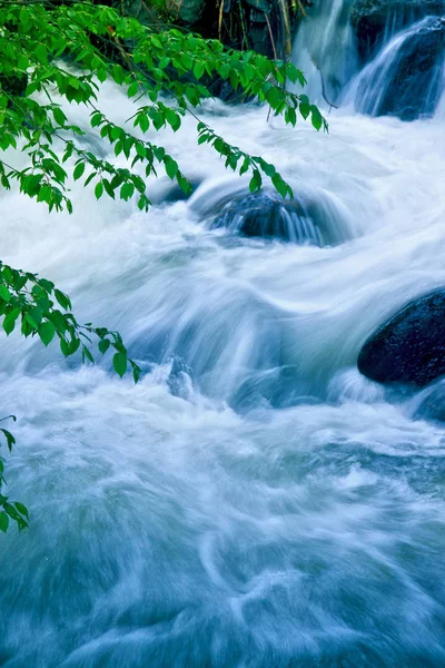 Schneller Kleiner Fluss Bergwald — Stockfoto