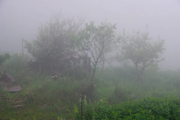 Natura Krajobraz Lato Mglisty Poranek Armenia — Zdjęcie stockowe