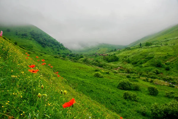 Ermenistan Sisli Dağ Manzarası Bulutlu Manzara — Stok fotoğraf
