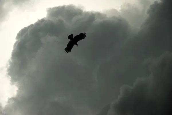 Dramatisch Stürmische Wolken Dunkle Gewitterwolken — Stockfoto