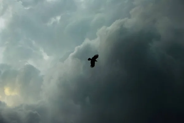 Dramatische Stormachtige Wolken Donkere Storm Wolken — Stockfoto