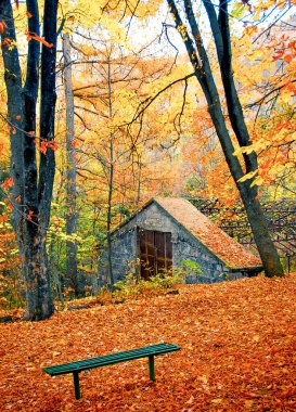 Şehre park et Renkli bir sonbahar gününde