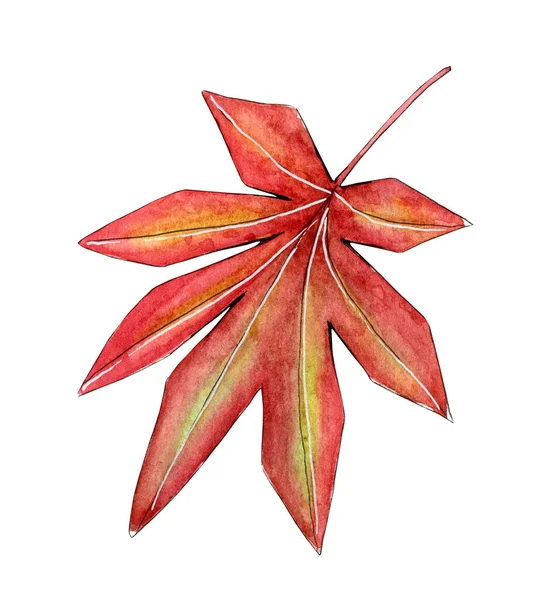 Hand painted watercolor autumn fall leaf — Stock Photo, Image