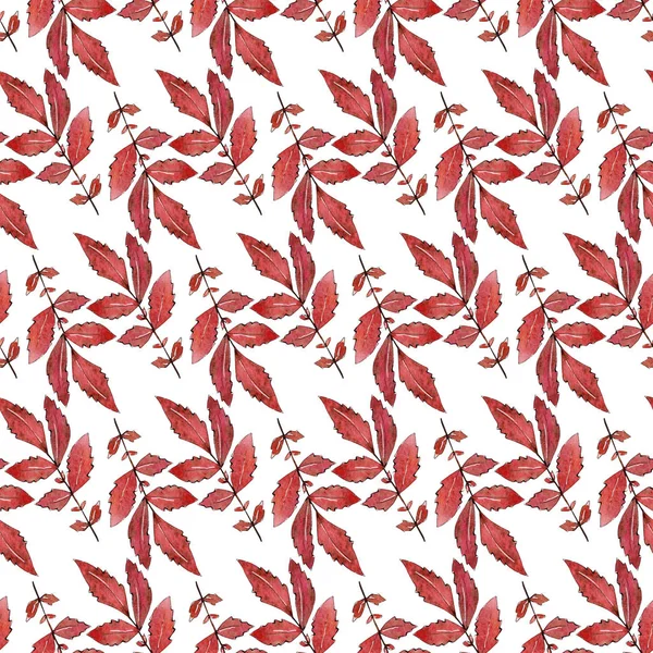Απρόσκοπτη υδατογραφία φθινόπωρο μοτίβο πτώση με κόκκινα φύλλα — Φωτογραφία Αρχείου