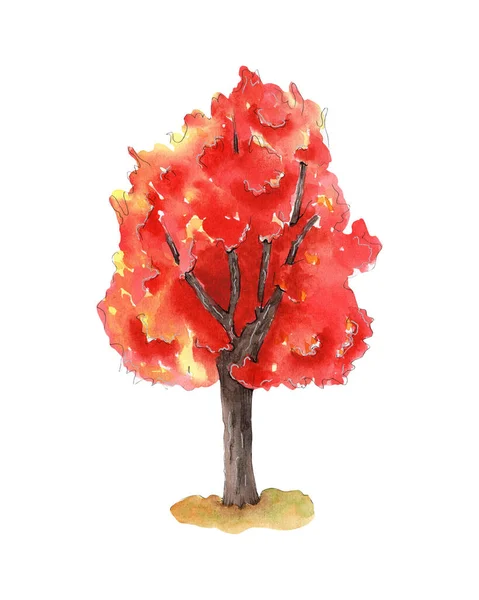 Hand drawn watercolor tree illustration — Stock Photo, Image