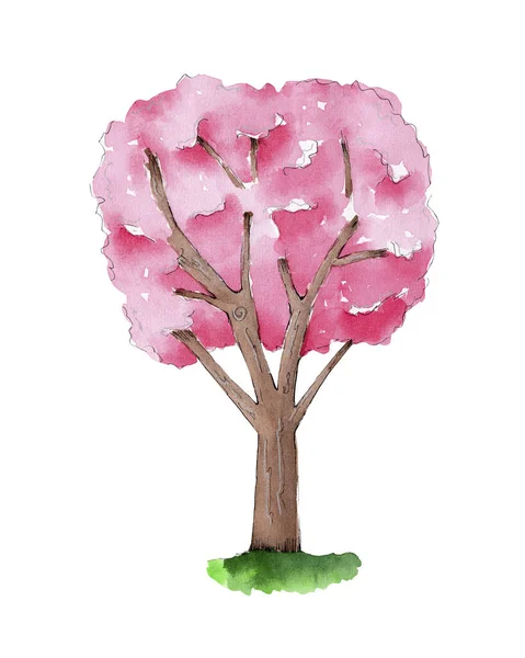 Hand drawn watercolor tree illustration