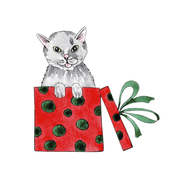 Ručně malované akvarel Vánoční kočky izolované na bílém pozadí. — Stock fotografie