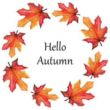 Sonbahar suluboya akçaağaç yaprakları.