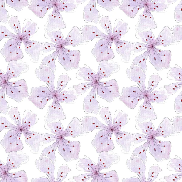 Patrón floral de lirio acuarela sin costuras —  Fotos de Stock