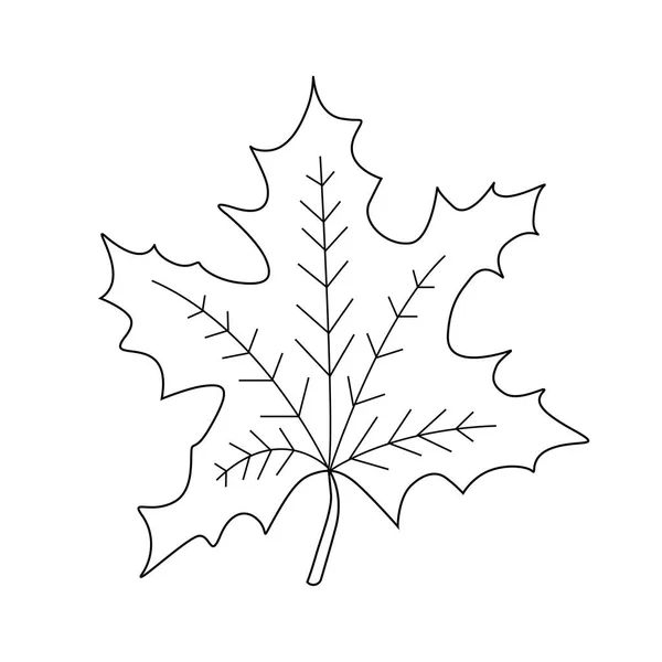 Hoja de arce vectorial, otoño otoño ilustración — Archivo Imágenes Vectoriales