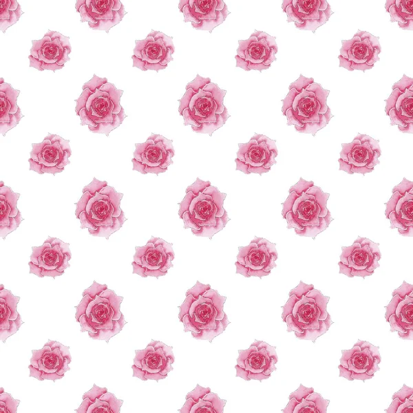 Bezešvé akvarel růžová růže vzor — Stock fotografie
