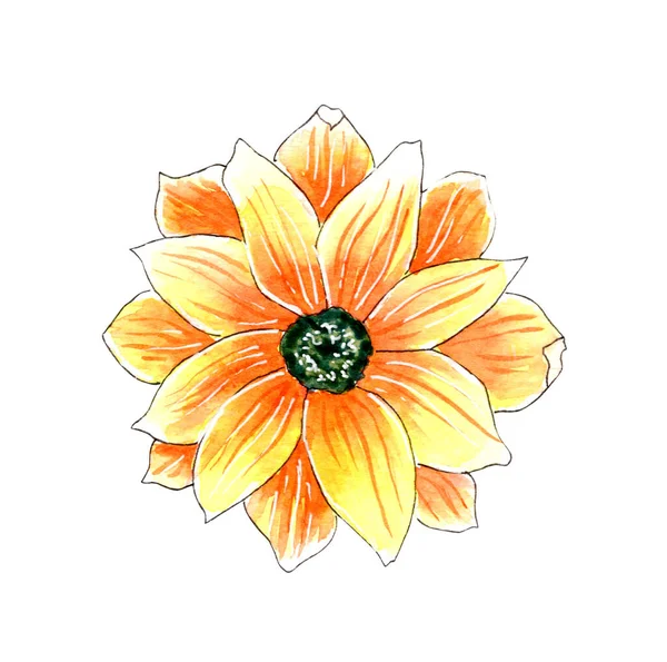 Mão Pintado Aquarela Amarelo Flor Ilustração — Fotografia de Stock