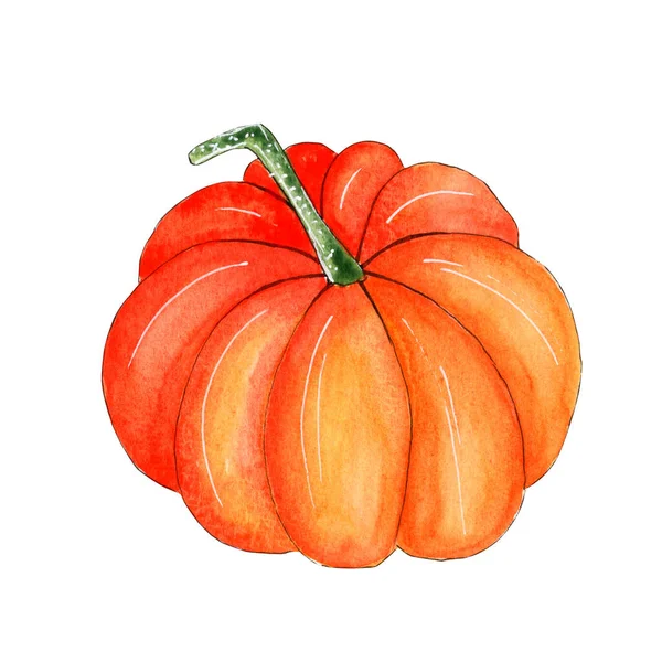 Handgemalte Aquarell Kürbis Illustration Herbst Herbst Element Für Thanksgiving Halloween — Stockfoto