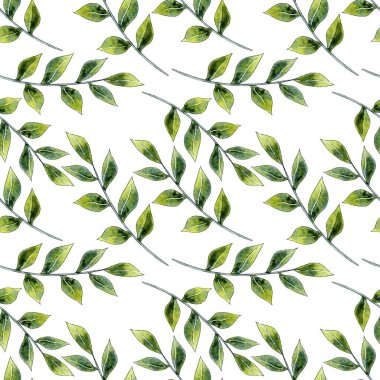 Suluboya yeşil yapraklar desen, botanik arkaplan, kusursuz dijital kağıt.