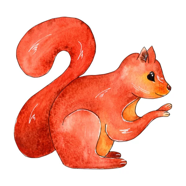 Kézzel rajzolt akvarell mókus illusztráció. — Stock Fotó