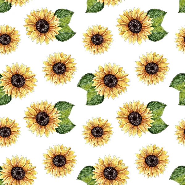 Seamless watercolor Floral pattern, sunflower background. — Stock Photo, Image