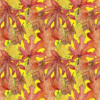 Kusursuz suluboya sonbahar sonbahar şablonu.