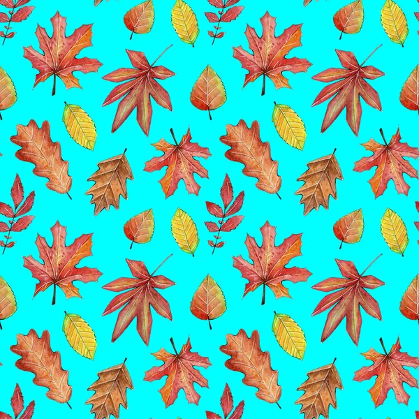 Nahtlose Aquarell Herbst Muster. — Stockfoto