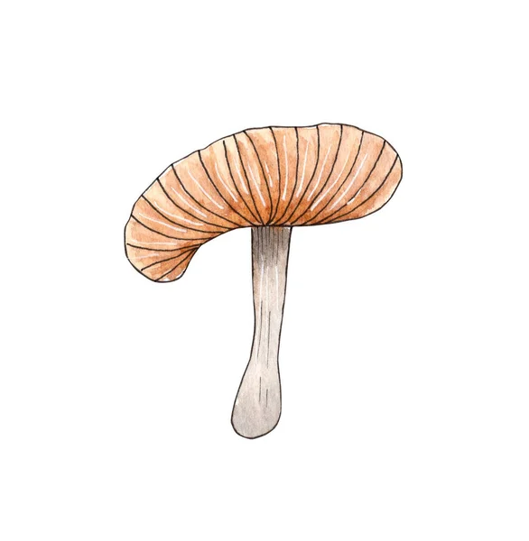Ručně kreslené akvarel houba ilustrace, lesní prvek. — Stock fotografie