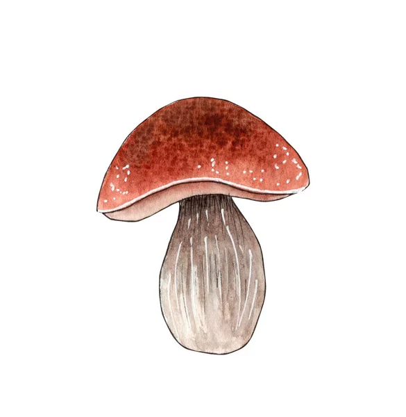 Ręcznie rysowane akwarela grzyb ilustracja, element lasu. — Zdjęcie stockowe