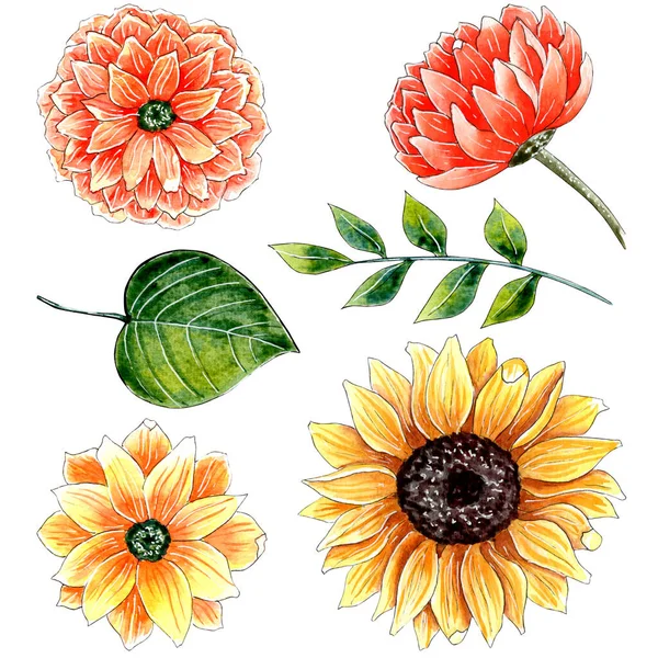 ชุดดอกไม้สีส้มและสีเหลืองที่วาดด้วยมือ . — ภาพถ่ายสต็อก