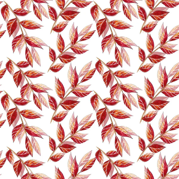 Watercolor colorful autumn fall leaves pattern. — Stock Photo, Image