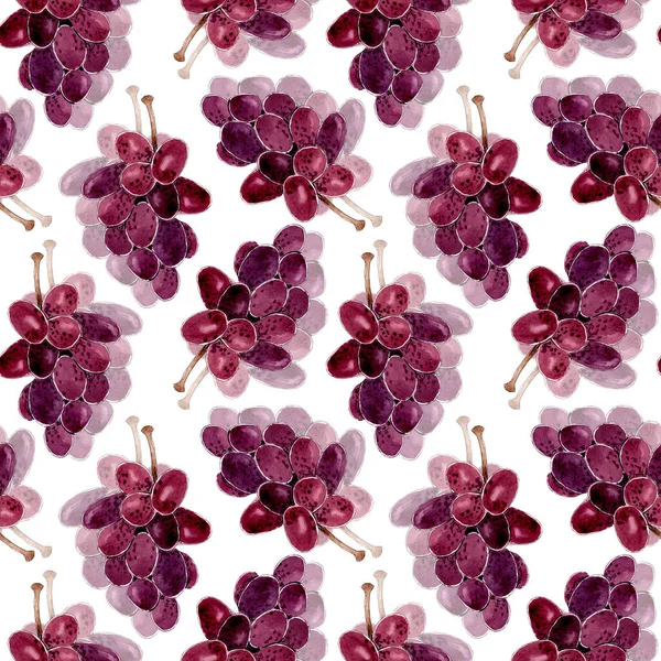 Acquerello modello uva isolato su sfondo bianco, sfondo di frutta. — Foto Stock