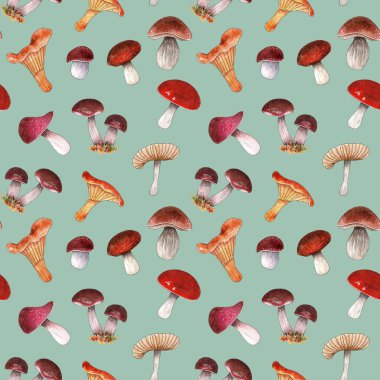 Suluboya mantar deseni tasarımı, orman elementleri.