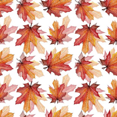 Kusursuz suluboya sonbahar sonbahar şablonu.