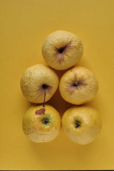 Manzanas Amarillas Maduras Con Fondo Amarillo — Foto de Stock