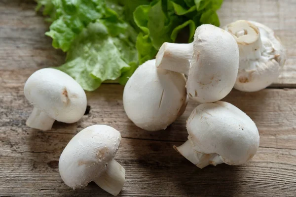 Gros Plan Sur Les Champignons Crus Origine Rustique — Photo