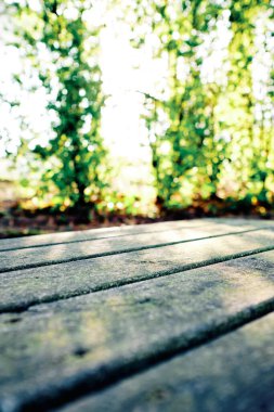 Odaklanmamış ağaçların olduğu parktaki kırsal masa