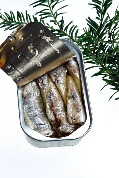 Dose Sardinen Olivenöl Und Weißem Hintergrund — Stockfoto