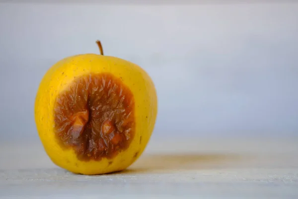 Manzana Podrida Con Fondo Liso — Foto de Stock