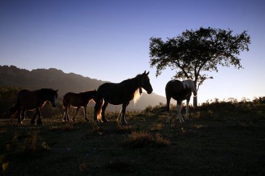 Gün batımında dağlarda karabasanlar
