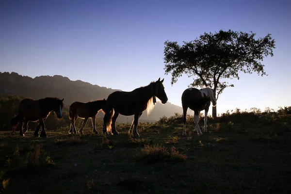 Gün batımında dağlarda karabasanlar