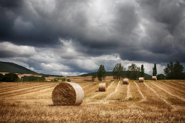 Saman ve fırtınalı gökyüzü balyalarıyla manzara