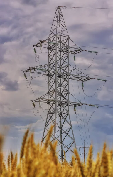 High voltage line behind wheat field. Cloudy sky before rain