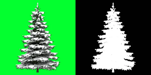 Vista Frontal Uma Árvore Inverno Modelo Renderização Máscara Seleção Incluída — Fotografia de Stock