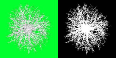 Kış ağacı 3D modelinin üst görüntüsü. 4K 'da hazırlanıyor. Seçim maskesi dahil. Ağaç PNG 'sini kes