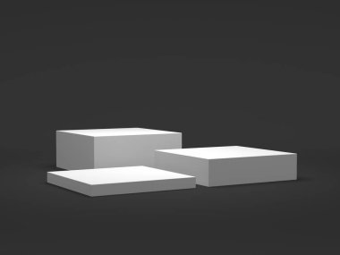 Gösteri için 8K Ürün Vitrini. 3D görüntüleme. Podyum tarzı. Siyah ve beyaz.