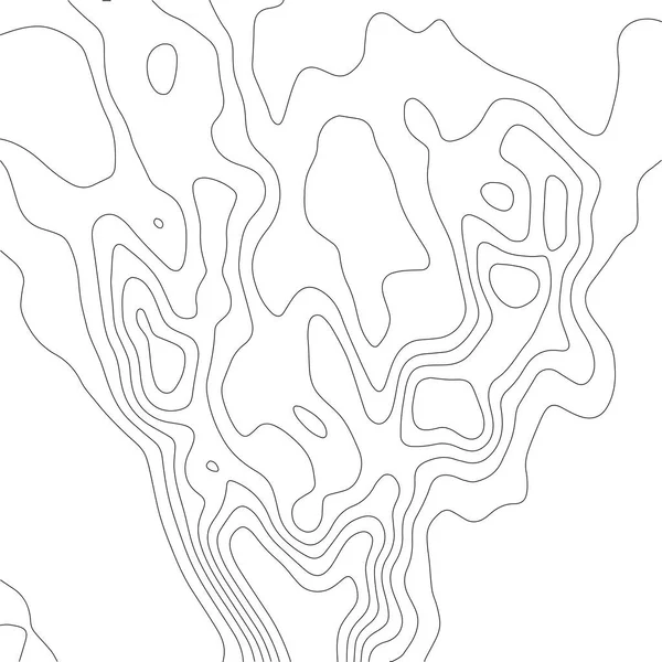 Illustrazione vettoriale del contorno. Sfondo astratto della mappa topografica. Schema geografico. — Vettoriale Stock