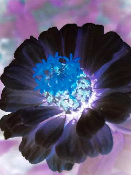 Kırım 'ın güney kıyısı, Parus kayası, ayrı bir parça, denizin arka planında doğal bir yaratılış, denize açılan çarpıcı bir köprü..