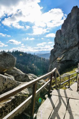 Karpat Dağları. Renkli sonbahar manzara dağ köyünde. Çıplak ağaçlar, ağaçlar sarı ve kırmızı yaprakları ile kaplı. 