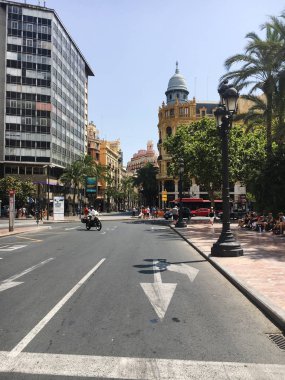 Valencia, İspanya. Güneşli yaz günü, seyahat süresi. Avuç içi, ağaçlar ve eski binalar