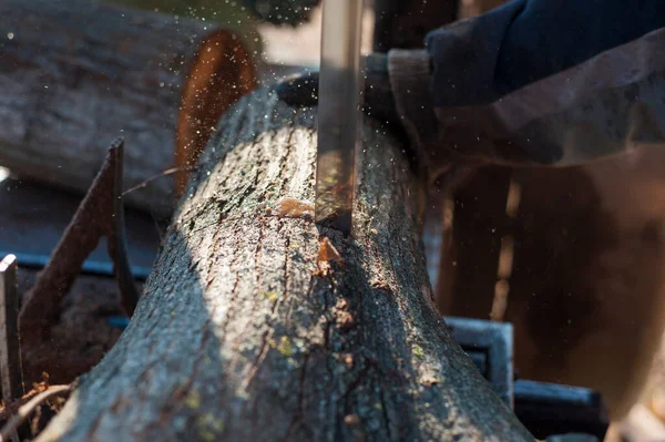 Man is using a electric saw for cutting firewood