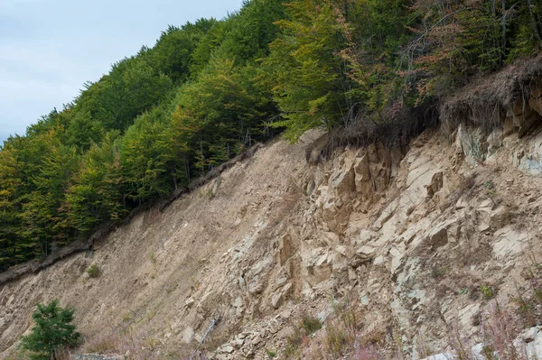 Otwarte Korzenie Drzew Powodu Osunięć Ziemi Erozji Gleby Wycięciu Drogi — Zdjęcie stockowe