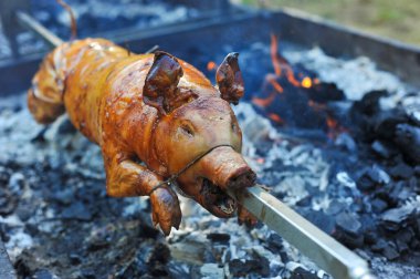 Geleneksel olarak domuzu ateş ve dumanla dönen bir tükürükte emzirir.